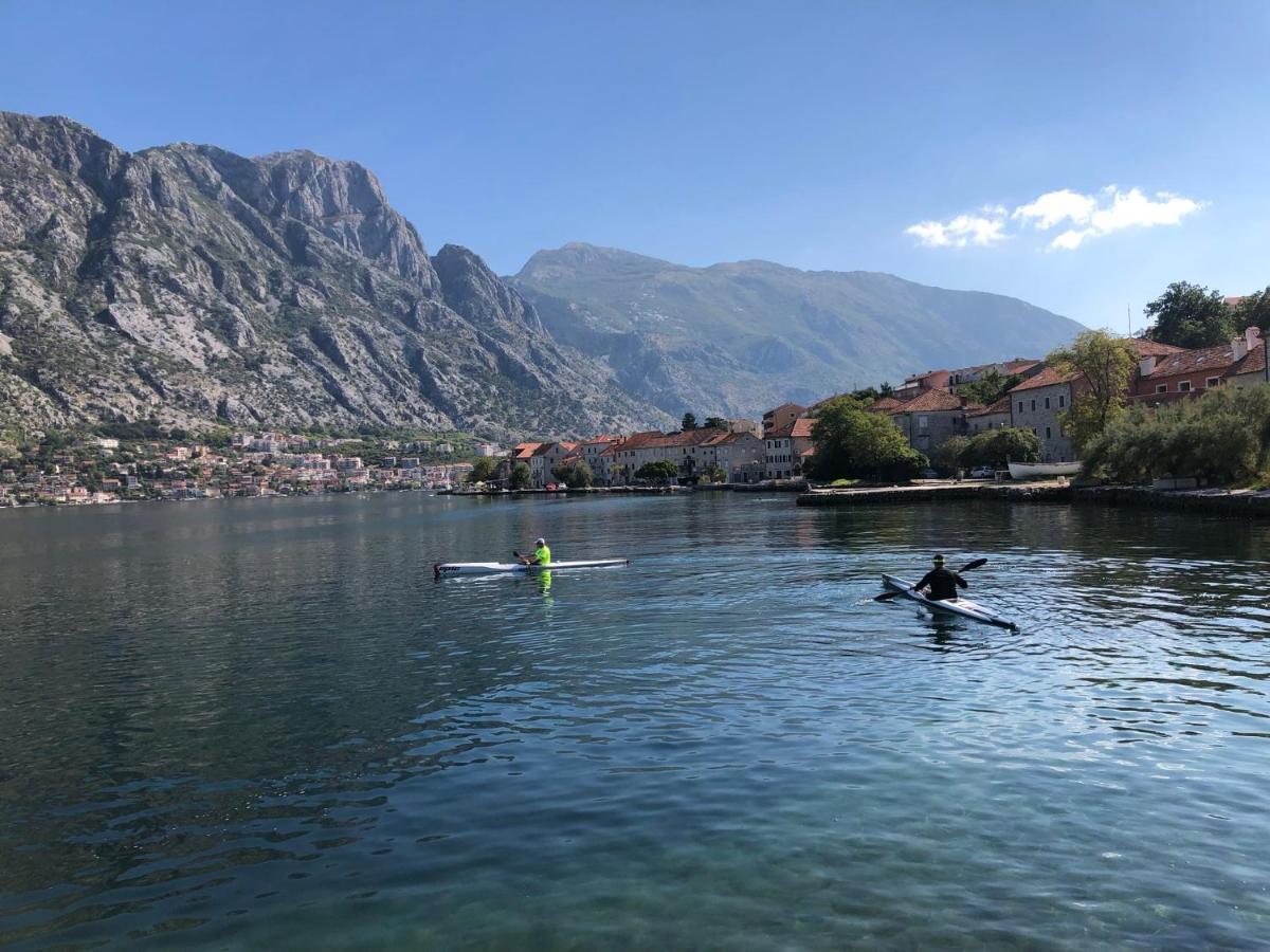 Magnolia Appartement Kotor