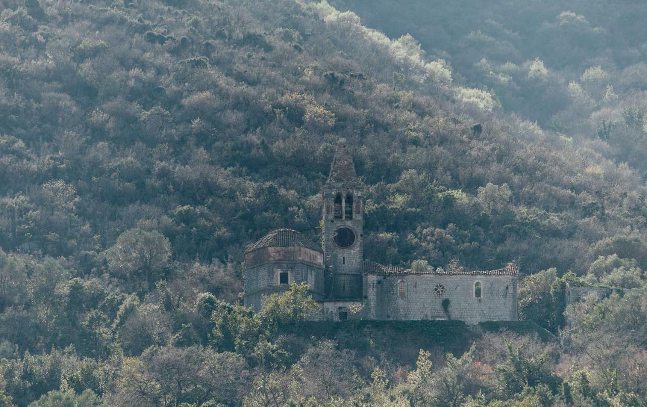 Magnolia Kotor